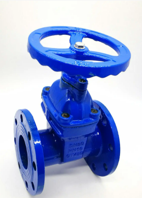 給大家講一下什么是彈性座封閘閥？