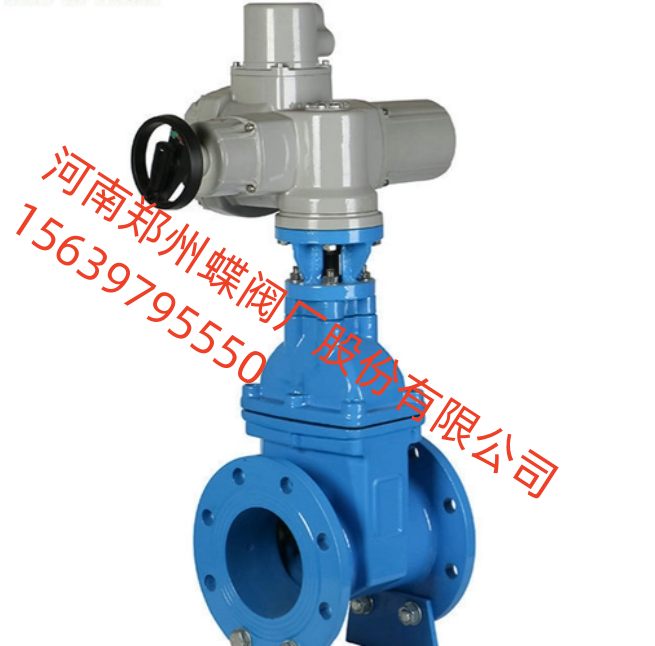 河南閥門之鄉(xiāng)，展銷會進行中