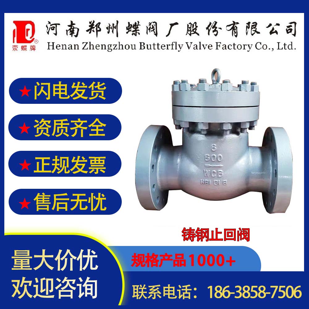 鑄鋼止回閥耐高溫高壓蒸汽規(guī)格齊全可定制包售后