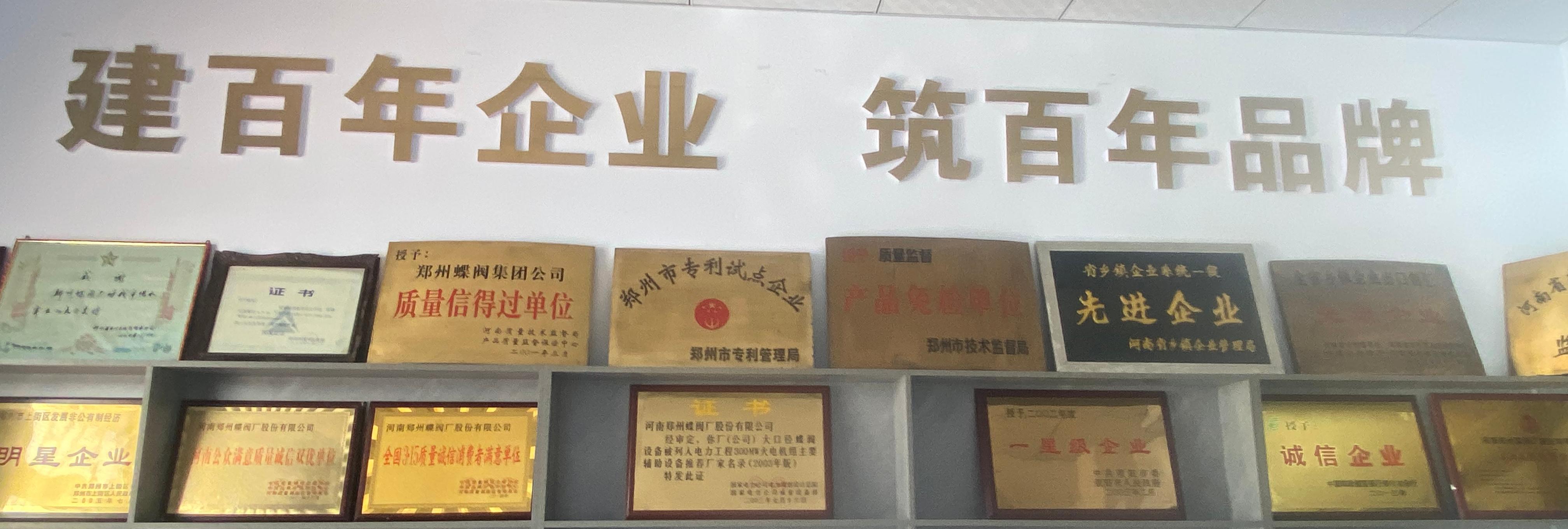 鄭州蝶閥廠雙偏心蝶閥